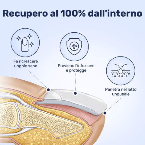 WellaNail image
